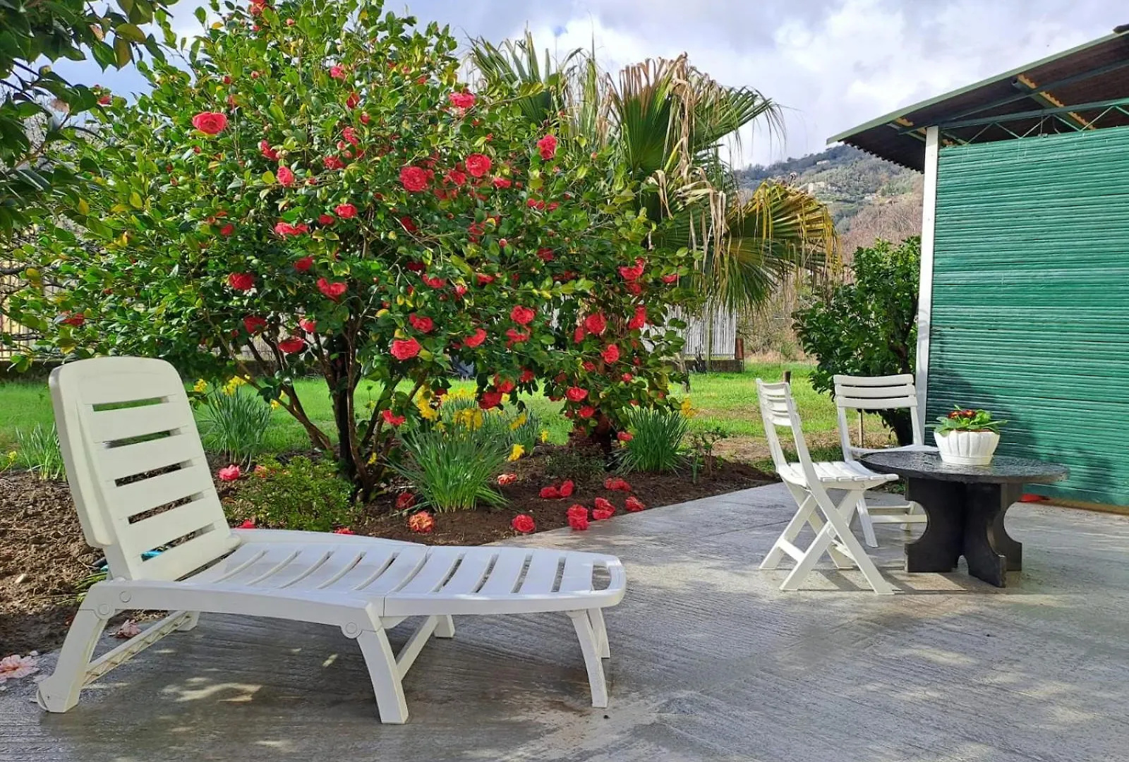 Villa Sunny House Carasco 0*,  Italia