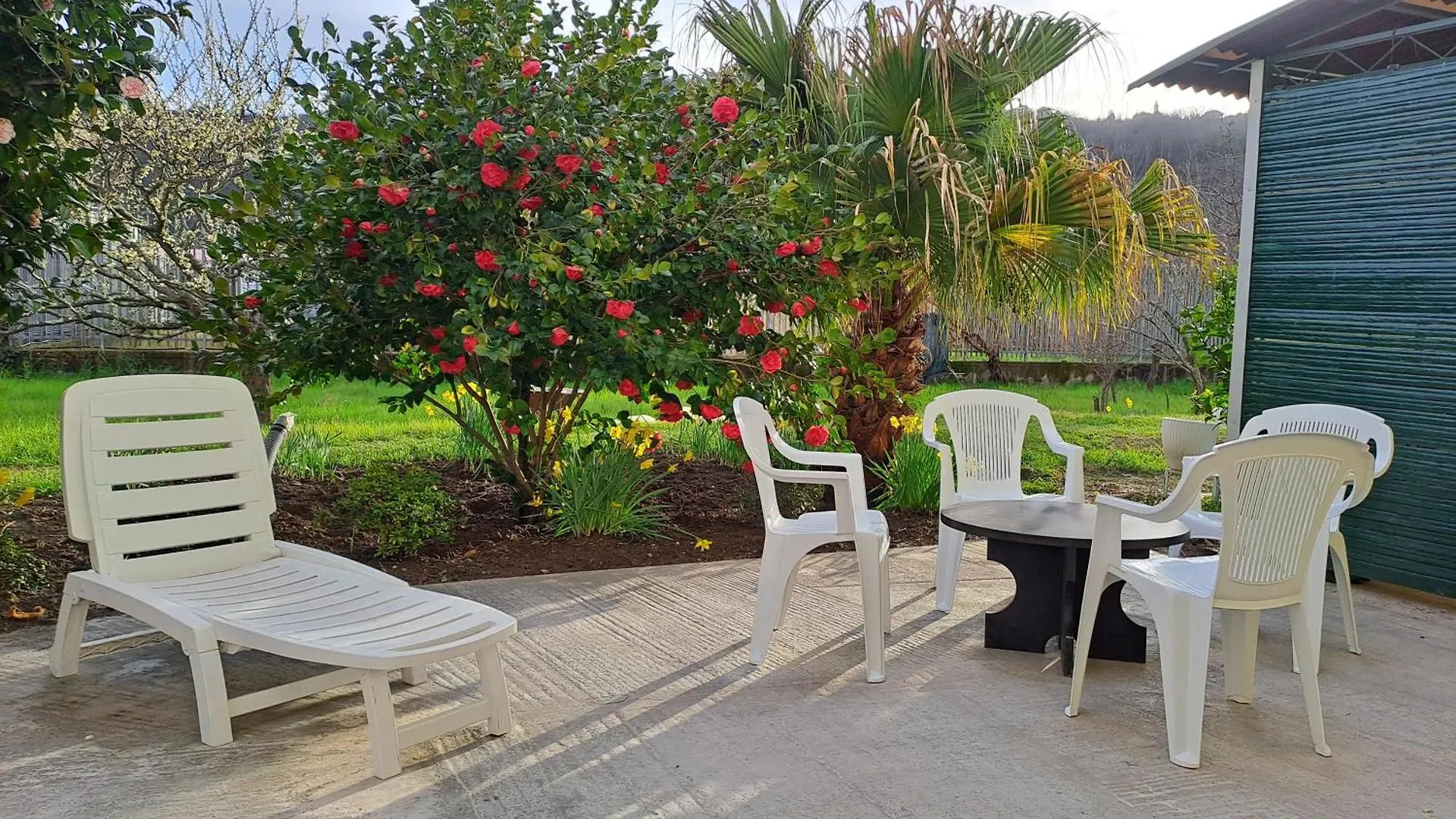 Villa Sunny House Carasco Italia