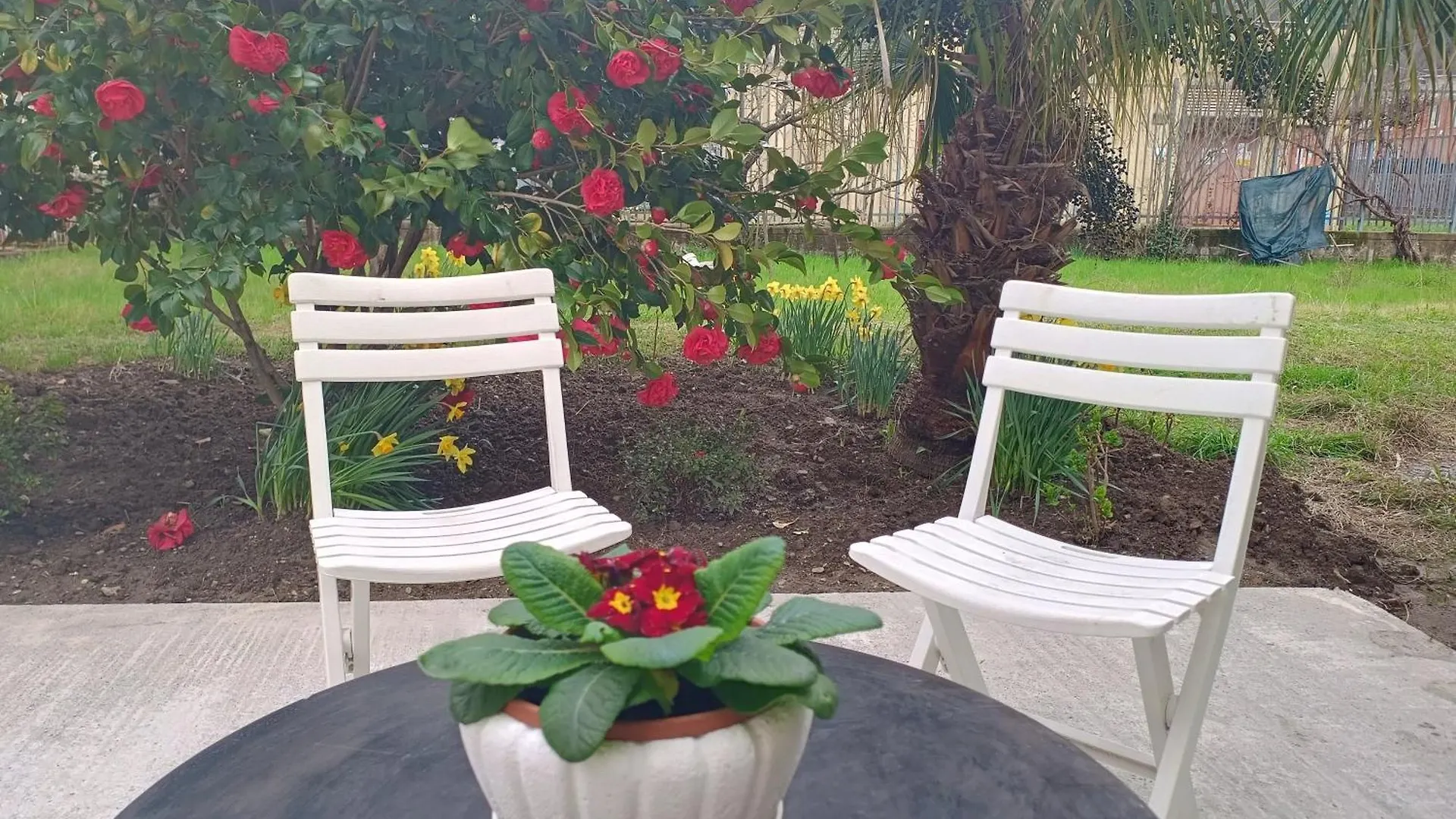 Сasa de vacaciones Villa Sunny House Carasco Italia
